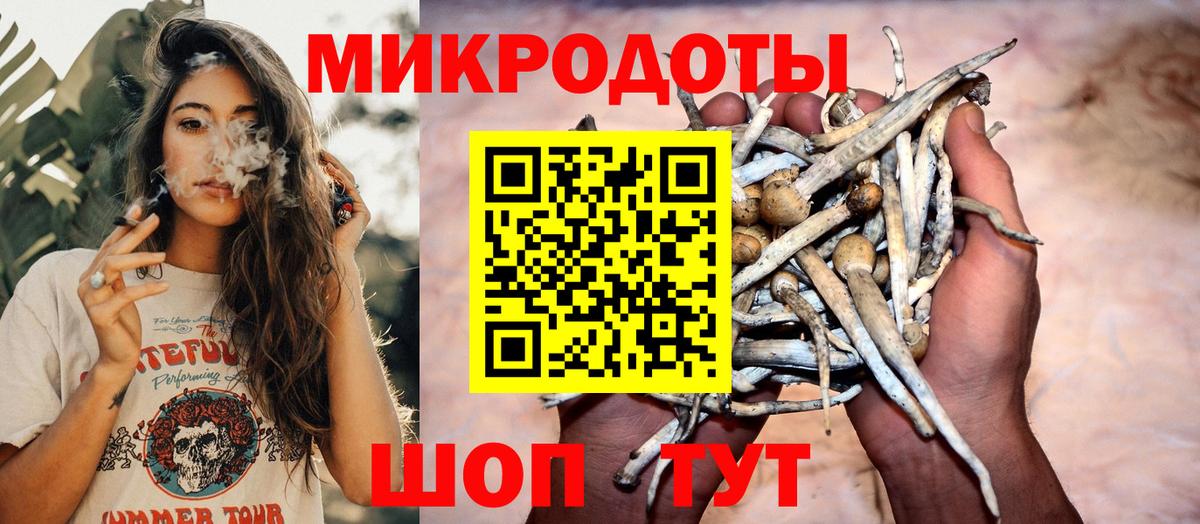 Асино  Псилоцибиновые грибы мицелий  Вход с VPN  Псилоцибиновые грибы ЛСД 